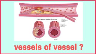 Vasa Vasorum  vessel of vessel [upl. by Gardol]