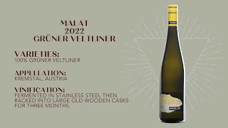 WINECULT Bottle Breakdown  Malat 2022 Gruner Veltliner [upl. by Eisenstark]