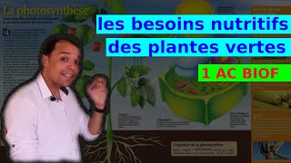 Les besoins nutritifs des plantes vertes 1AC BIOF [upl. by Nwahc839]