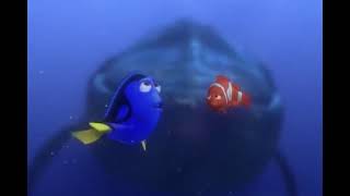 Finding Nemo  Dory Speaking Whale Thailand [upl. by Frulla236]