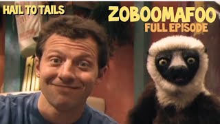 zoboomafoo with the Kratts brothers  hail to tails  full episode  Kratts series  kids video [upl. by Suiramed]