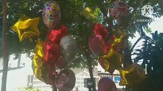 Star Shaped Round Shaped Heart Shaped Helium Balloons [upl. by Levey756]