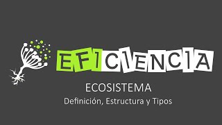 ECOSISTEMA Definición Estructura y Tipos [upl. by Airakaz]