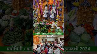 प्रबोधिनी  देव उत्तान एकादशी 2024  BAPS Shri Swaminarayan Mandir Uran Mora prabodhiniekadashi [upl. by Alfred]