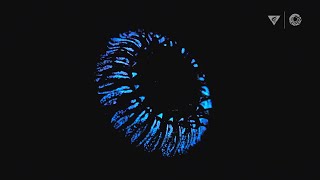 Bioluminescence in the deep sea How and why do animals create their own light [upl. by Jeanne]