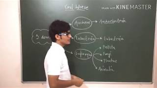 3 domain classification by Carl Woese Archea Bacteria Eukarya [upl. by Appilihp58]