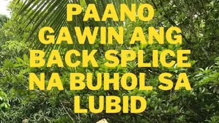 Paano Gawin Ang BackSplice na Buhol sa Lubid Tali ng Baka Rope Tutorial [upl. by Ojibbob]