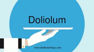 Learn how to say this word quotDoliolumquot [upl. by Eseekram200]