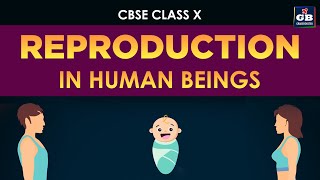 Reproduction in human beings  Class 10th CBSE biology  ncert class 10 science [upl. by Ehrman867]