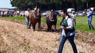 Kirchweidacher Fuhrmannstag 2016 Ackerbauvorführung Teil 2 [upl. by Ulrika821]