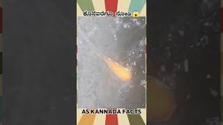 Prince Rupert Drops Fact Video  kannada facts karnataka amazing youtubeshorts trendingshorts [upl. by Esinej]