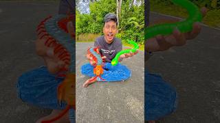 Rc Monster snake and big Rc caterpillar [upl. by Arnulfo]