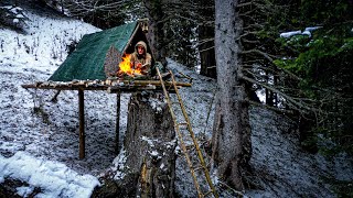 Building a complete WINTER SHELTER on a old TREE STUMP in harsh conditions [upl. by Sokul660]