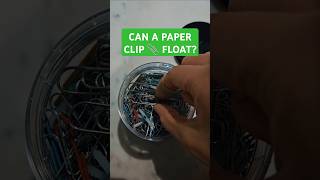 The Science Behind Floating Paper Clips A Fun Experiment youtubecreatorcommunity [upl. by Risser]