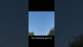 The Warbirds part 3 during Air Legend 2024 [upl. by Tod]