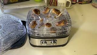 Best Dehydrator for Mushrooms [upl. by Deering]