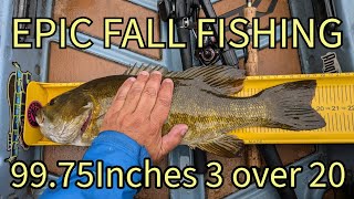 EPIC FALL FISHING 99 75 inches of River Smallmouth 3 over 20 [upl. by Loziram]