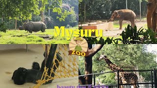 🌍 A Day at Mysore Zoo Wild Encounters amp Conservation Adventures🦁✨ [upl. by Levana259]