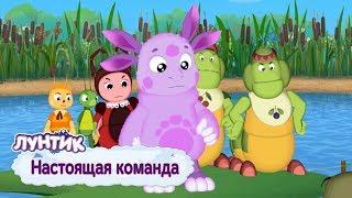 Настоящая команда 💥 Лунтик 💥 Сборник мультфильмов для детей [upl. by Adnoval]