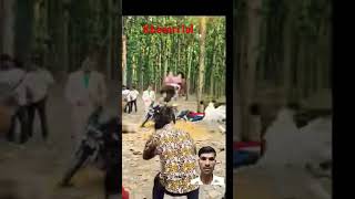 नया फिल्म khesari Lal Yadav prem ki pujaran khesarilalyadav trending viralvideo shortsfeed [upl. by Trovillion]