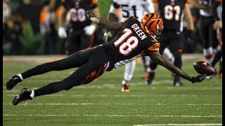 AJ Green  Lockjaw  NFL Highlights ᴴᴰ [upl. by Ahsyas]