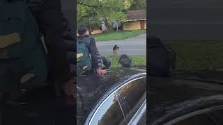 Man Gets Chased By A Full Grown German Shepherd And Hops On A Neighbors Car With The Quickness 🐕🐕 🐕 [upl. by Alana114]