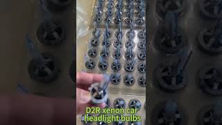 D2R Xenon Headlight Bulbs [upl. by Aicinat]