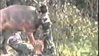 Deer attacks Hunterflv [upl. by Othe]