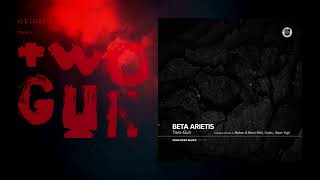 TwoGun  Beta Arietis Original Mix DEAR DEER BLACK [upl. by Vadim]