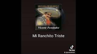 Mi ranchito triste Vicente Fernández  Cover por Jorge Sanabria [upl. by Urina]