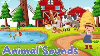 Animal sounds  Farmyard [upl. by Lamiv]