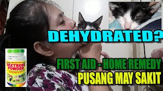 Home Remedy Dextrose Powder Para Sa Aso at Pusang May Sakit Dehydrated [upl. by Ahsonek]