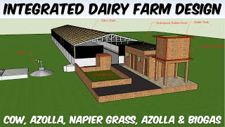 Integrated Dairy Farming Model Design  Cow Azolla Napier Hydroponic Fodder Farm amp Biogas Design [upl. by Alic]