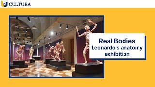 Real Bodies Leonardos Anatomy Exhibition [upl. by York231]