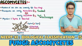 Biological Classification Lec 15 Fungi Ascomycetes Class 11 NEET Neetology [upl. by Ejrog]