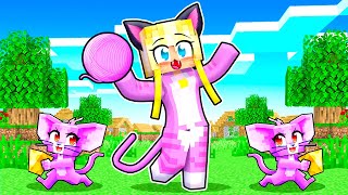 Ich VERWANDLE mich LANGSAM in eine KATZE ✿ Minecraft [upl. by Trillbee756]