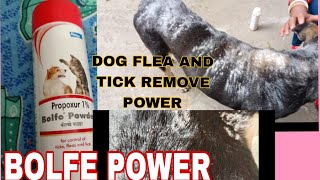 Best Tick Powder For Dog  Flea And Tick Remove For 2 Minutes In Dogs Body [upl. by Zalea88]