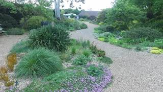 The Beth Chatto Gardens Gravel Garden tour in May [upl. by Leona291]