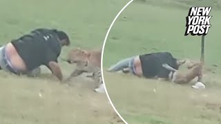 WATCH Leopard attacks park goer in India [upl. by Idroj]