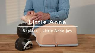 Little Anne  Replace  Little Anne Jaw [upl. by Kus]