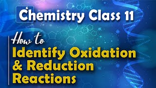 Super easy trick to Balance the equation by oxidation number method [upl. by Ardisj865]