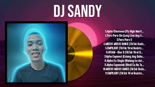 Best Songs of DJ Sandy full album 2024  Top 10 songs [upl. by Ahsened]