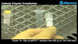 Cationic Polymer Transfection [upl. by Airasor523]