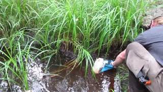 Wasilla Alaska Bushcraft Purifying Water [upl. by Siusan652]