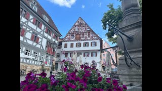 Esslingen am Neckar Germany Part  1 [upl. by Hardwick523]