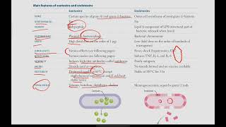 Exotoxins and Endotoxins Bacteria with exotoxins  Microbiology  6  First Aid USMLE in UrduHindi [upl. by Aliuqa]