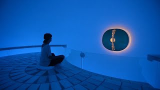 What is Auroville Pondicherry  Meditation Rooms Inside the Matrimandir Petals [upl. by Ahsilet625]