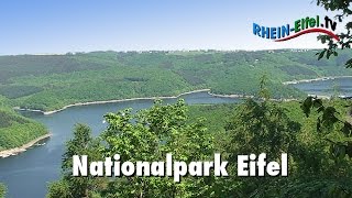 Nationalpark Eifel  RheinEifelTV [upl. by Macdonald]