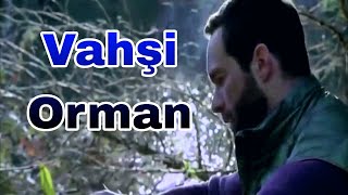 Vahşi Orman  Türkce Dublyaj Film HD KORKULU FİLM [upl. by Goldner]