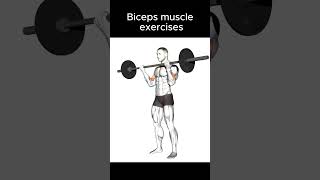 Biceps muscle exercises [upl. by Eiznekcam]